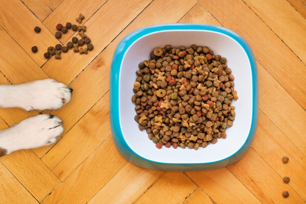 general nutrition
