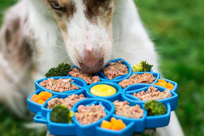 nutrition